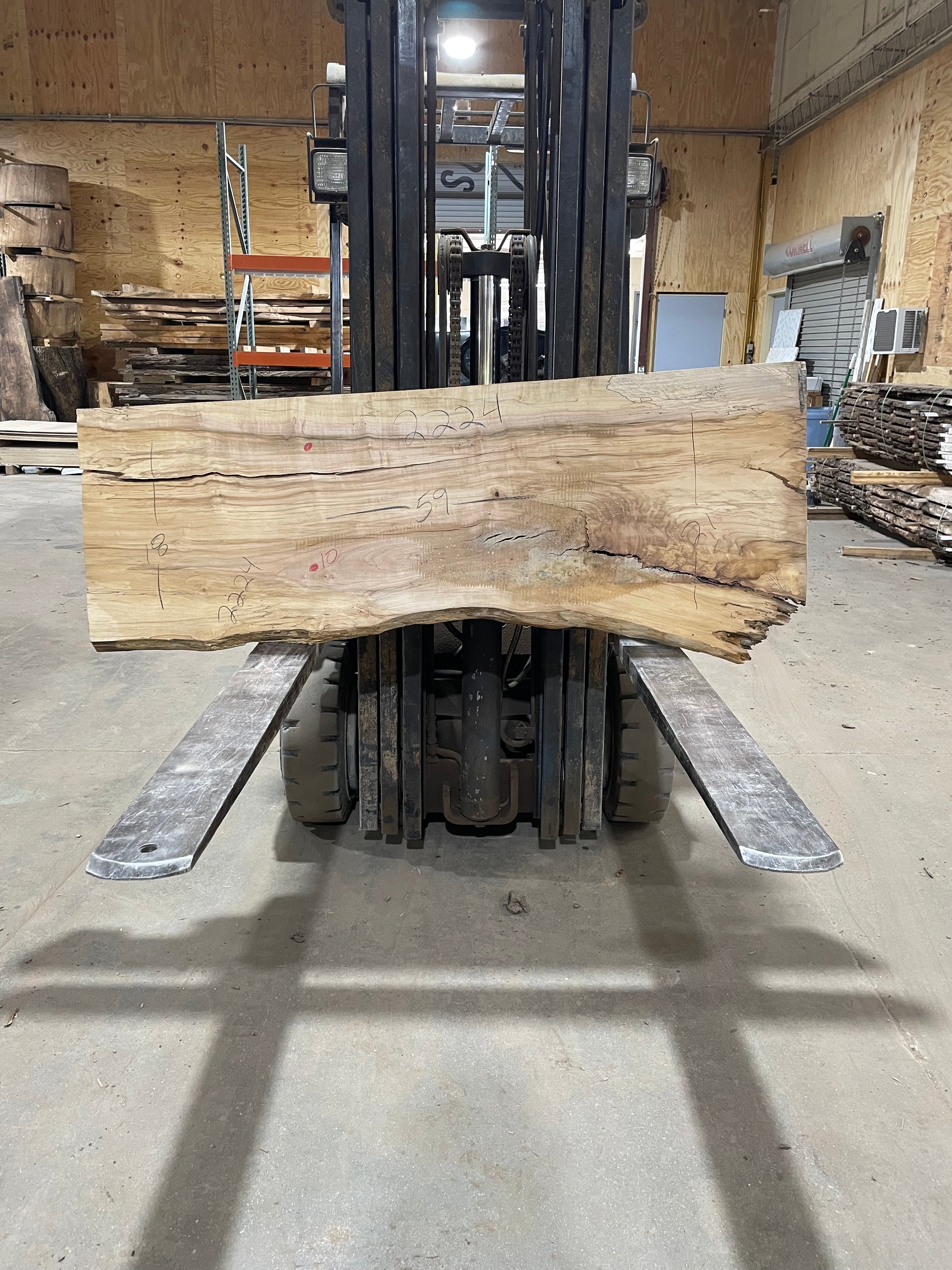 ELM (2224) 59” L X 18-21” W X 2” T