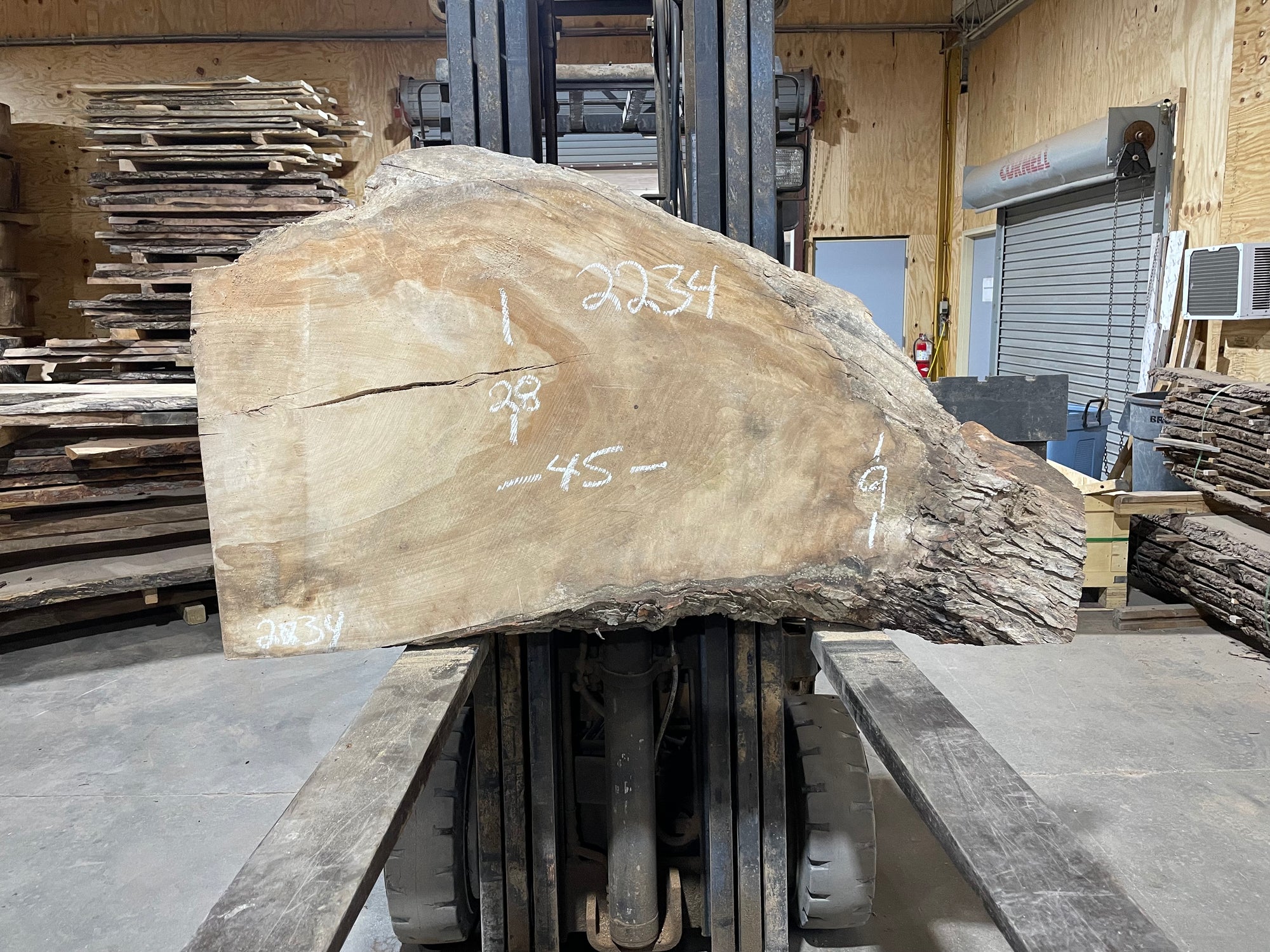 Silver Maple (2234) 45” L x 9-28” W x 2.5” T