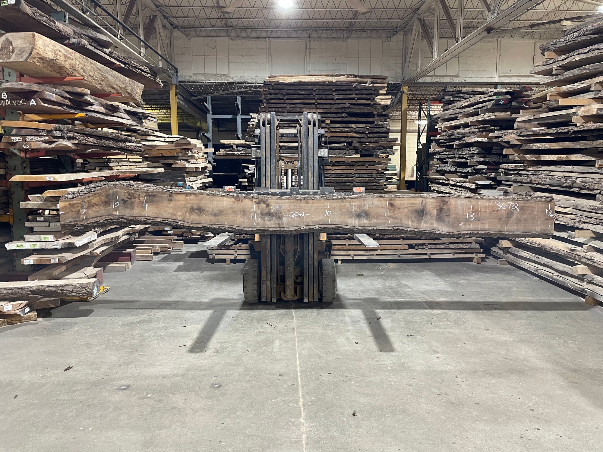 BLACK WALNUT (3672) 202” L x 7-13” W x 3” T