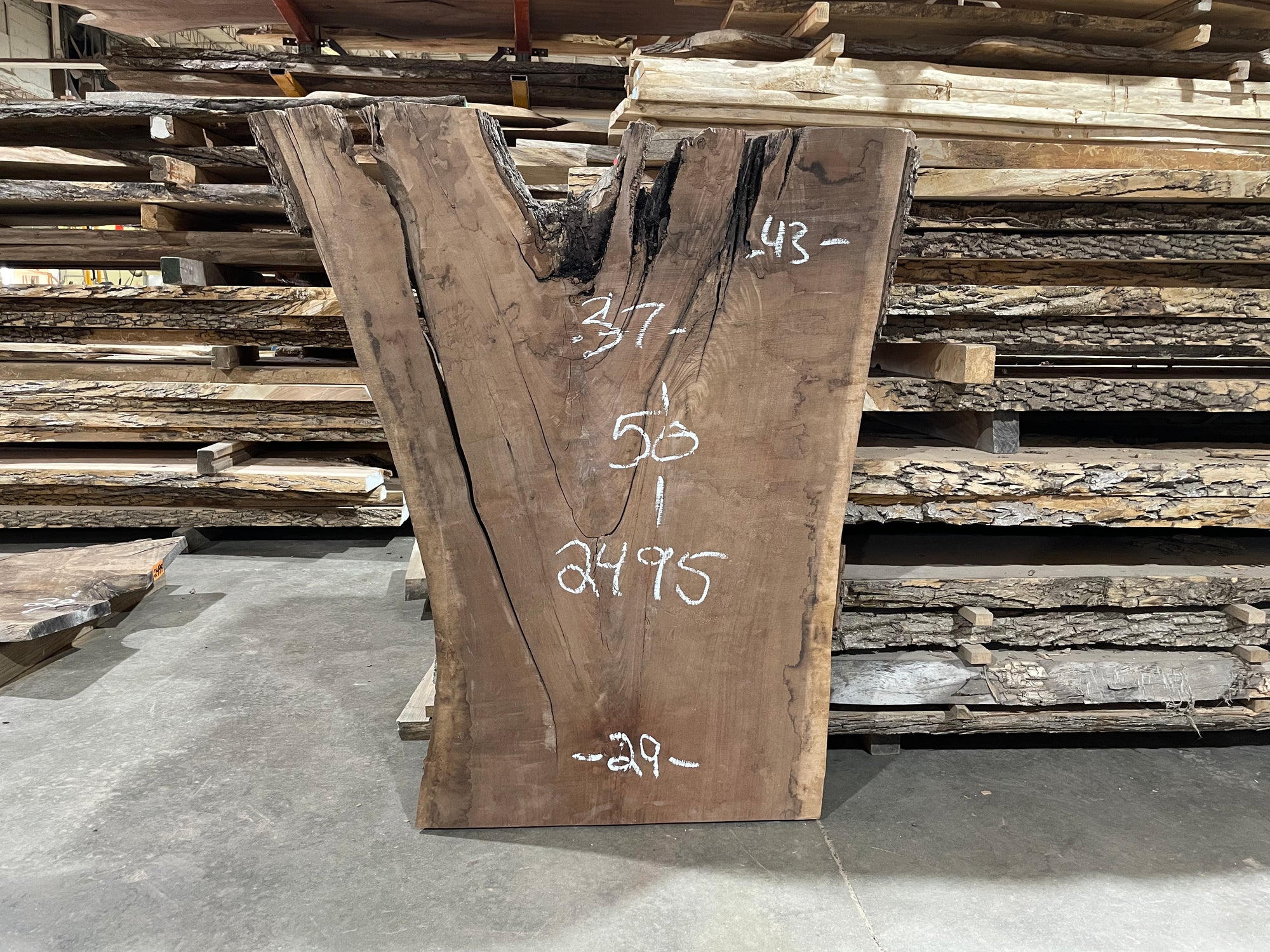 Walnut (2495) 50” L x 29-43” W x 2.75” T