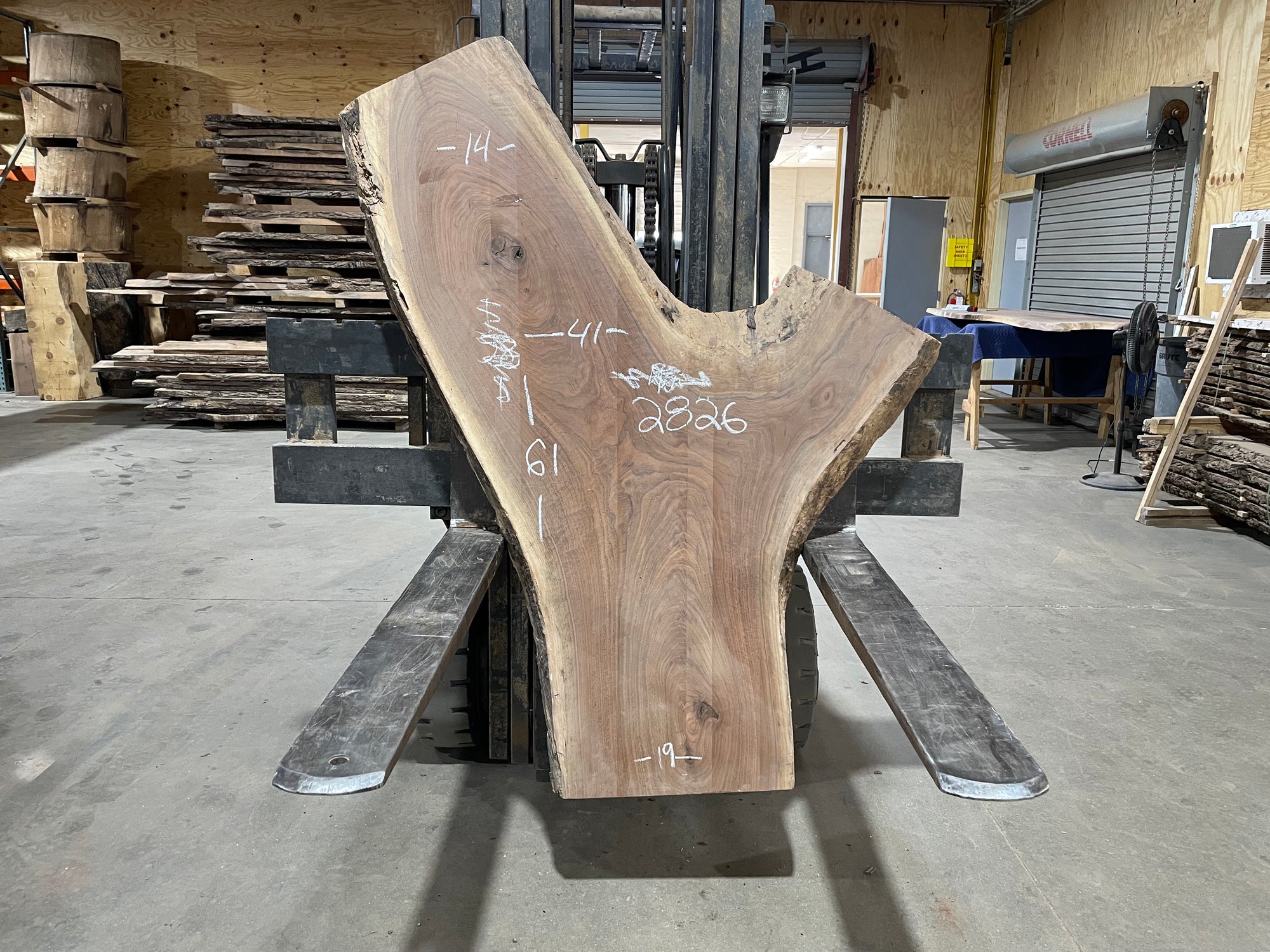 Black Walnut (2826)  61” L x 14-41” W x 2.25” T