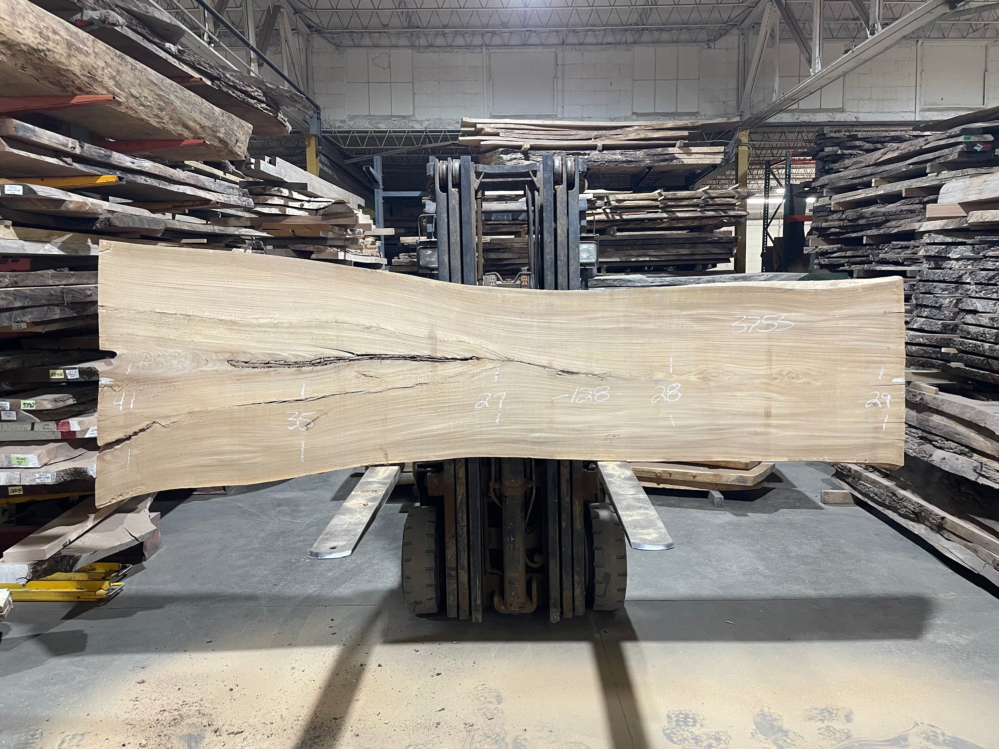 Siberian Elm (3755)  128” L x 27-41” W x 3” T