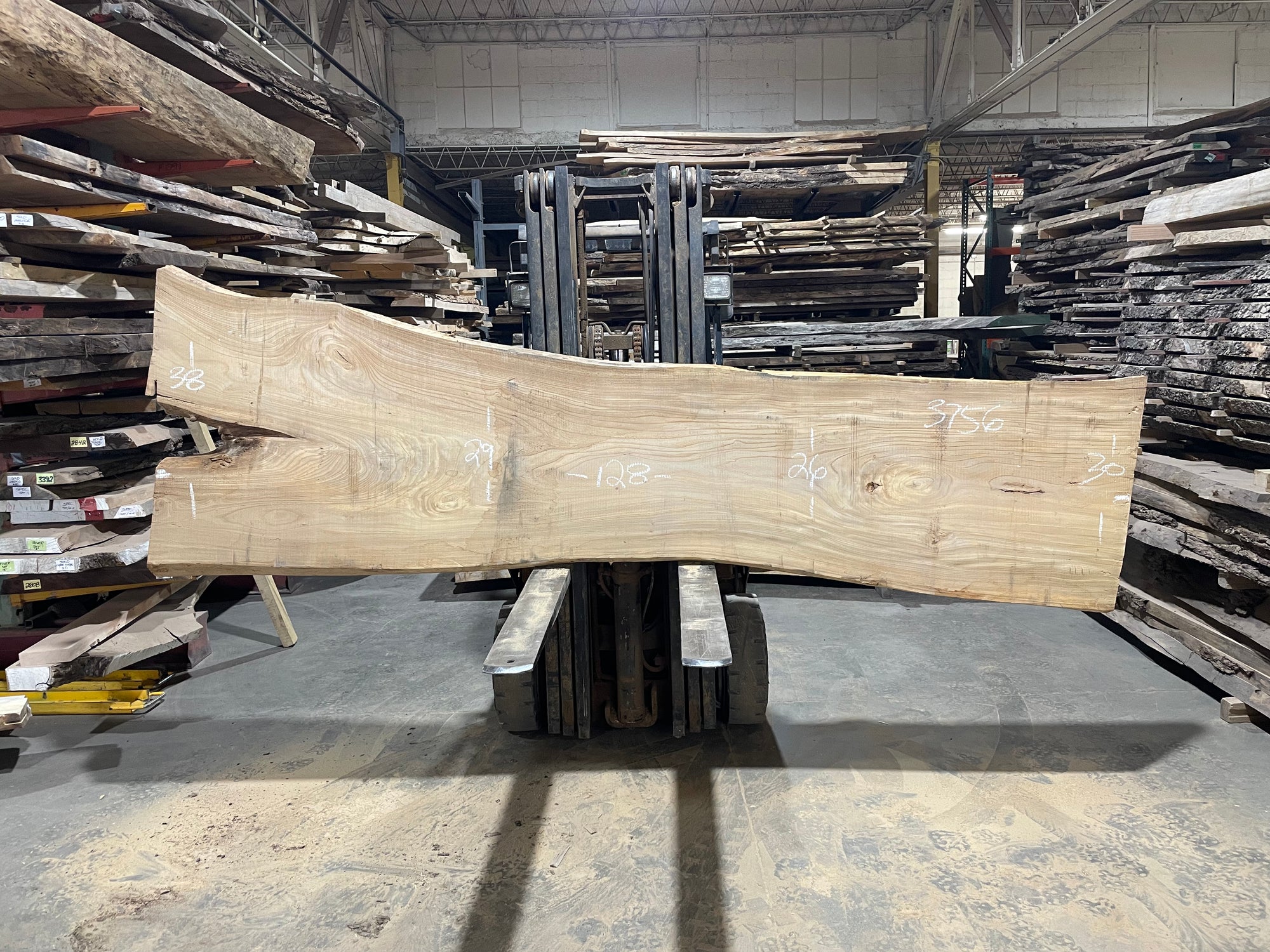 Siberian Elm (3756)  128” L x 26-38” W x 3” T