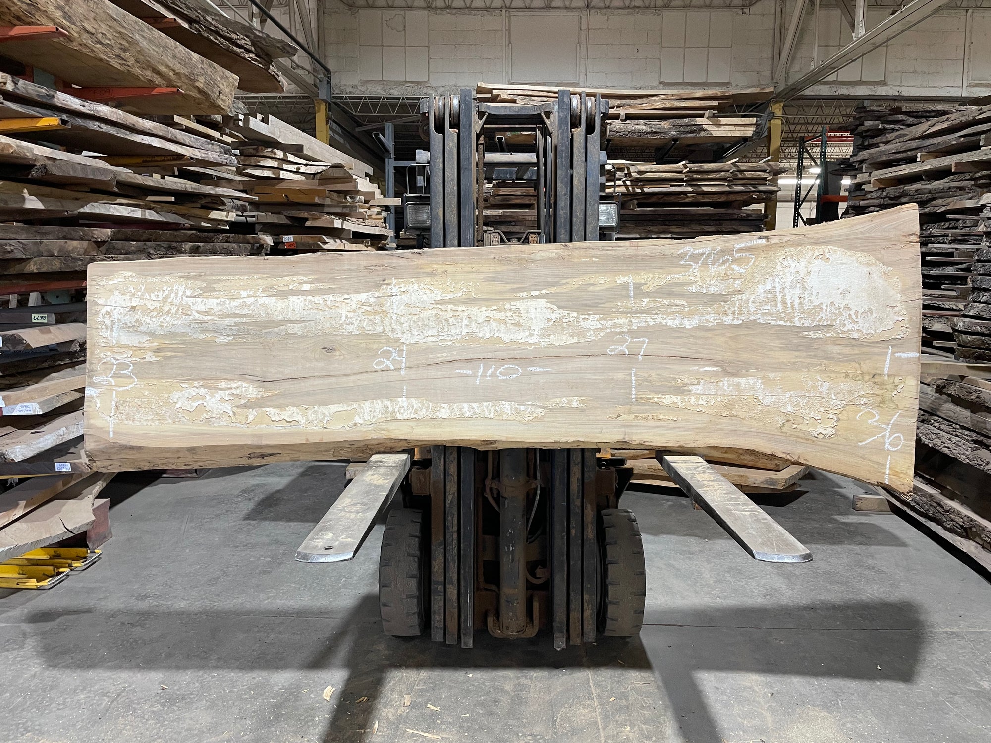 Siberian Elm (3765)  110” L x 23-36” W x 3” T