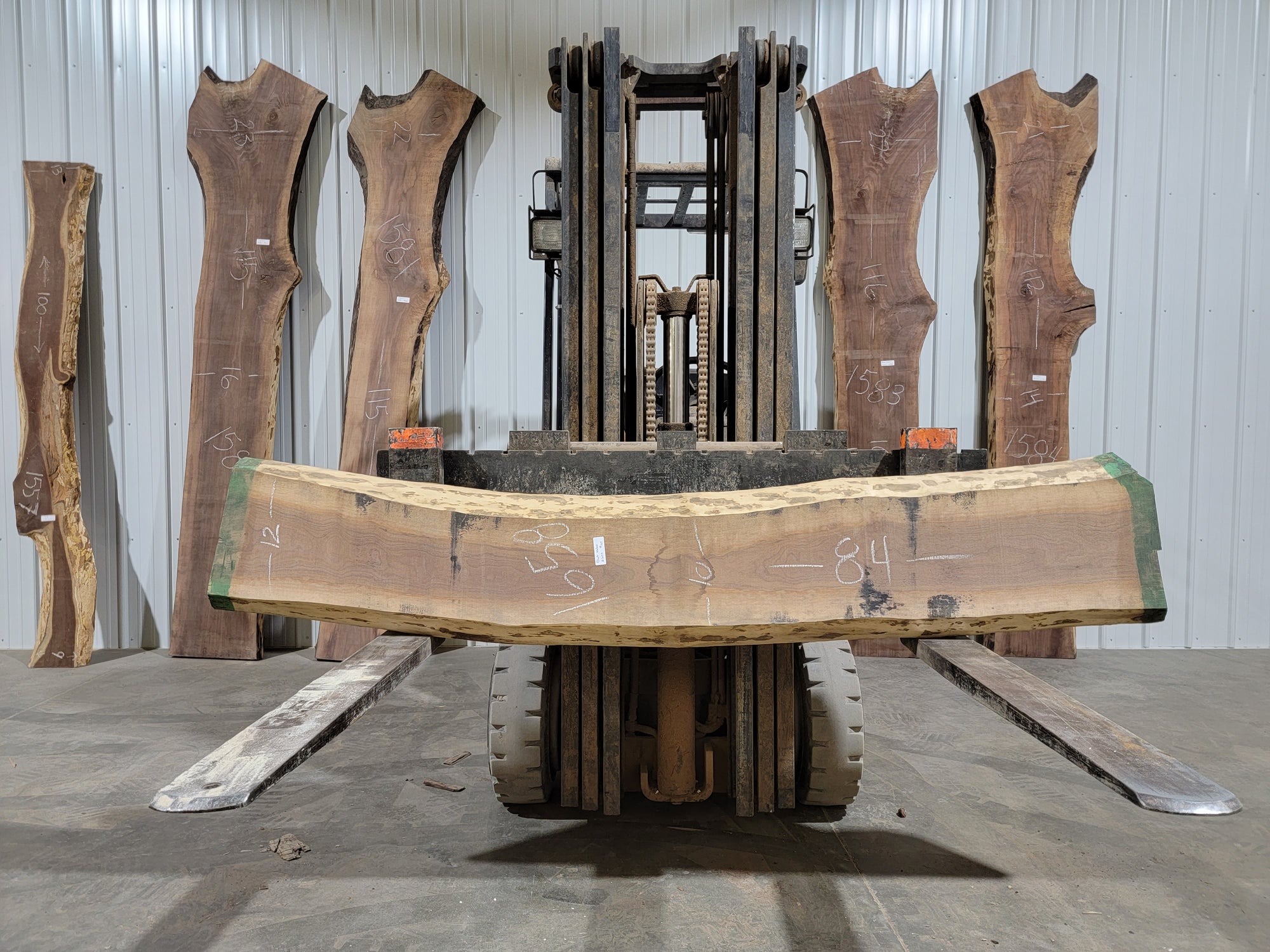 Black Walnut (1658) 84” L X 10-12” W X 2” T